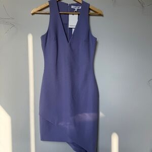 NWT Elizabeth and James Rosa Dress